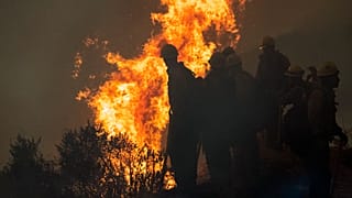 На Западе США уже выгорели свыше 2 млн га