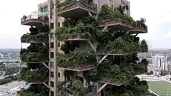 مشروع سكني أخضر صديق للبيئة في الصين