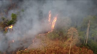 Brasilien: Regenwald steht in Flammen - und es ist kein Regen in Sicht