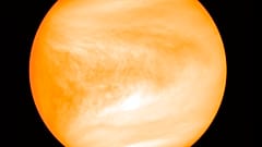 Venus