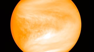 Venus