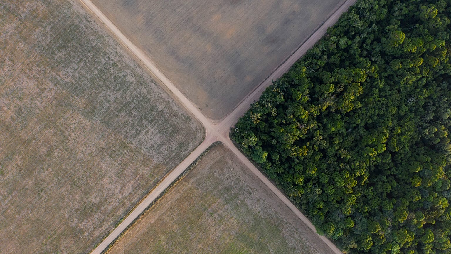 Biodiversité : agir tant qu'il est encore temps prévient l'ONU