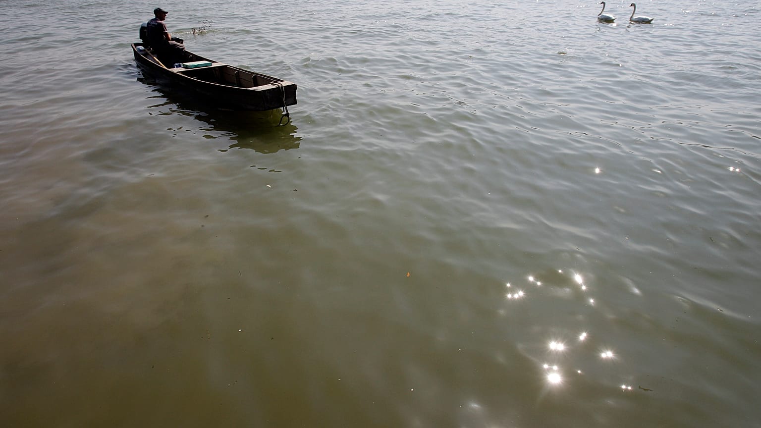 Fischer auf der Donau in Belgrad