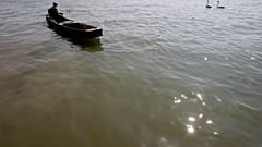 Fischer auf der Donau in Belgrad