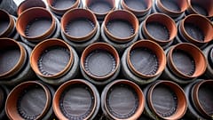 Трубы для "Северного потока — 2" в порту Мукран, 8 сентября 2020