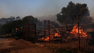 ΓΙΑΝΝΗΣ ΚΟΛΕΣΙΔΗΣ