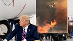 Governatori contro Trump