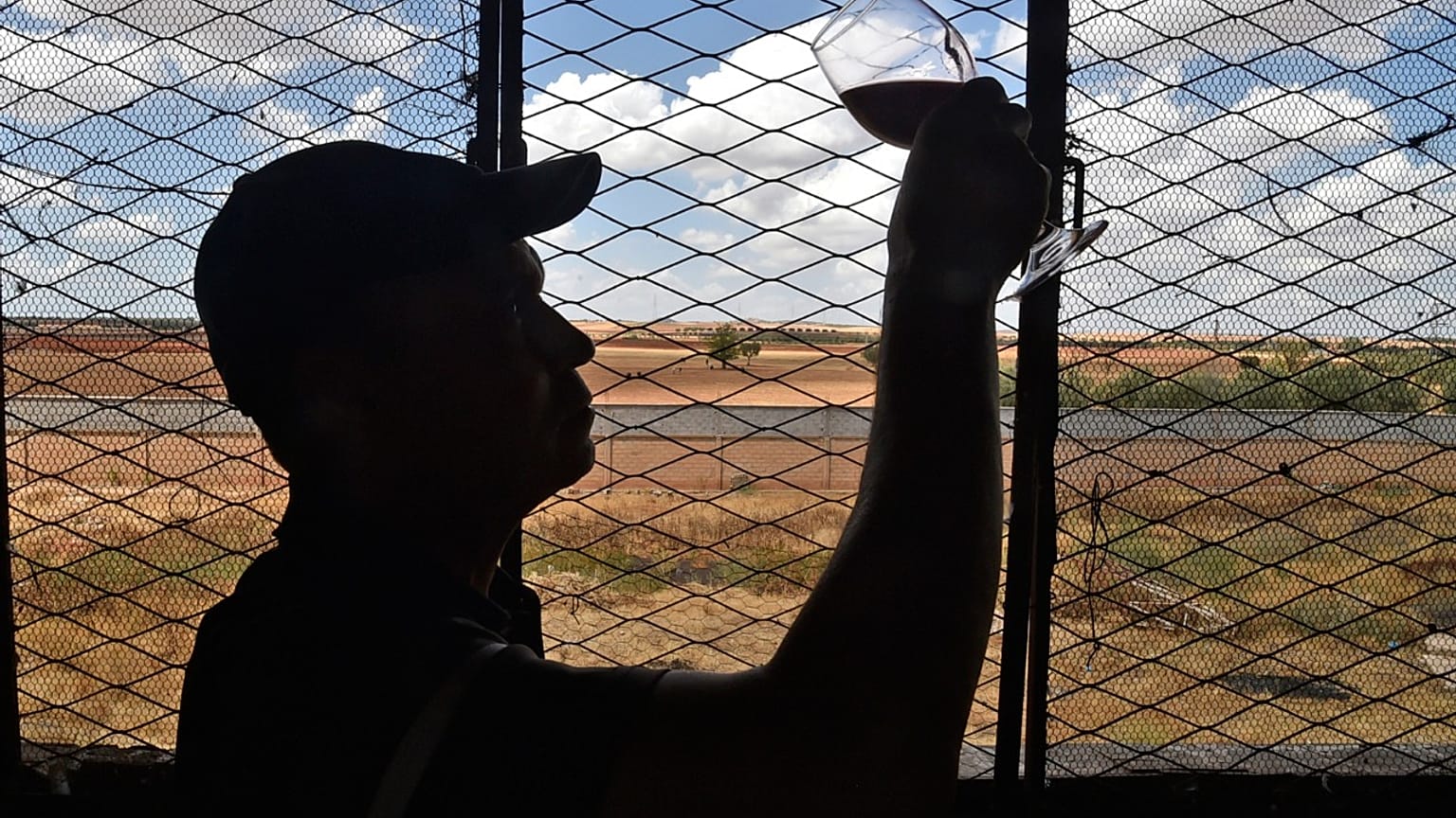 Mitarbeiter prüft Wein in Sidi Bel Abbès