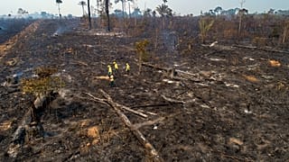 Experts say fires are pushing the world's largest rainforest toward a tipping point, after which it will cease to generate enough rainfall to sustain itself. 