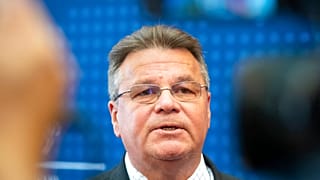 Lithuania's foreign minister Linas Linkevičius