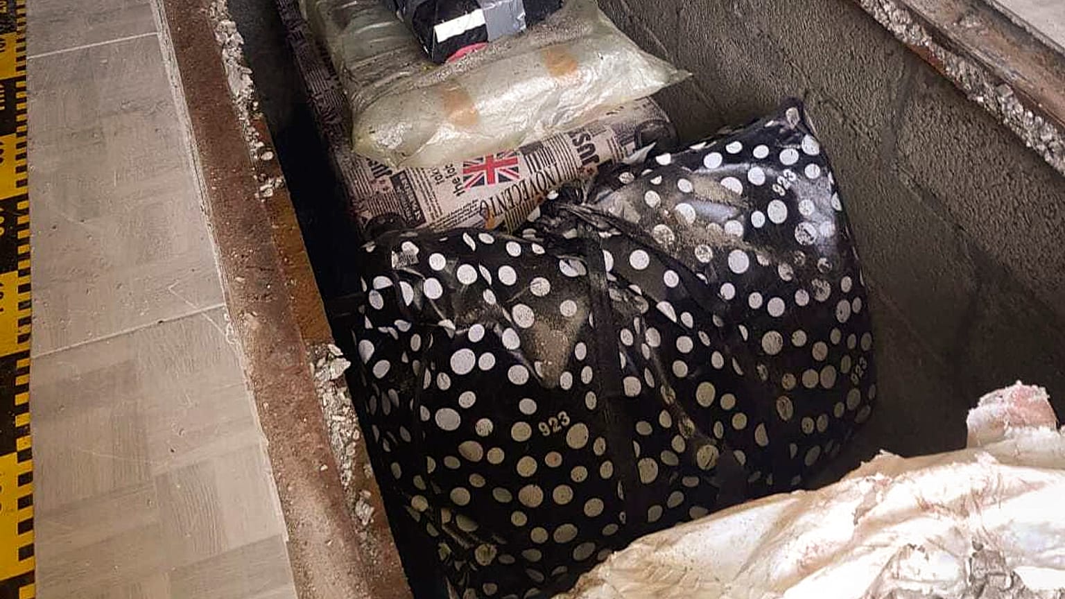Romanya polisi, eylül ayında hırsızlık çetesi tarafından çalınan değerli kitaplara ulaşmıştı  