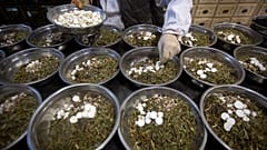 عامل بصدد تجميع مكونات مستحضرات الطب الصيني التقليدي في أوعية في عيادة بواي تنغ للطب الصيني التقليدي في بيكين. 2020/03/13