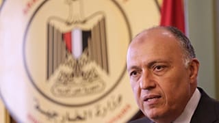Mısır Dışişleri Bakanı Şokri