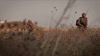 Британские десантники на юге Украины