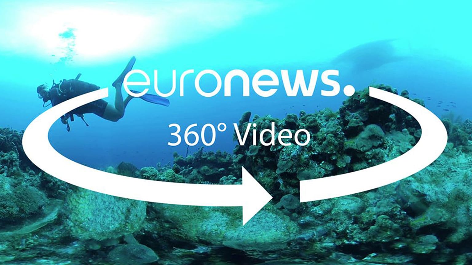 Saving nature: what's Europe's strategy?