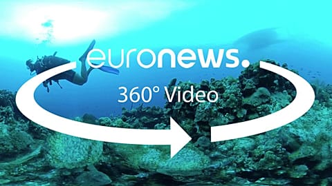 Saving nature: what's Europe's strategy?