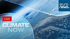 AI has also become key for scientists in predicting extreme weather.