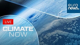 AI has also become key for scientists in predicting extreme weather.