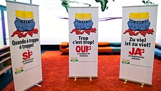 SVP-Poster zur Abgrenzungsinitiative