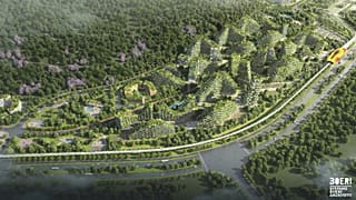 The Forest City Project