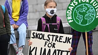 Vuelven Greta Thunberg y los "Viernes por el futuro"