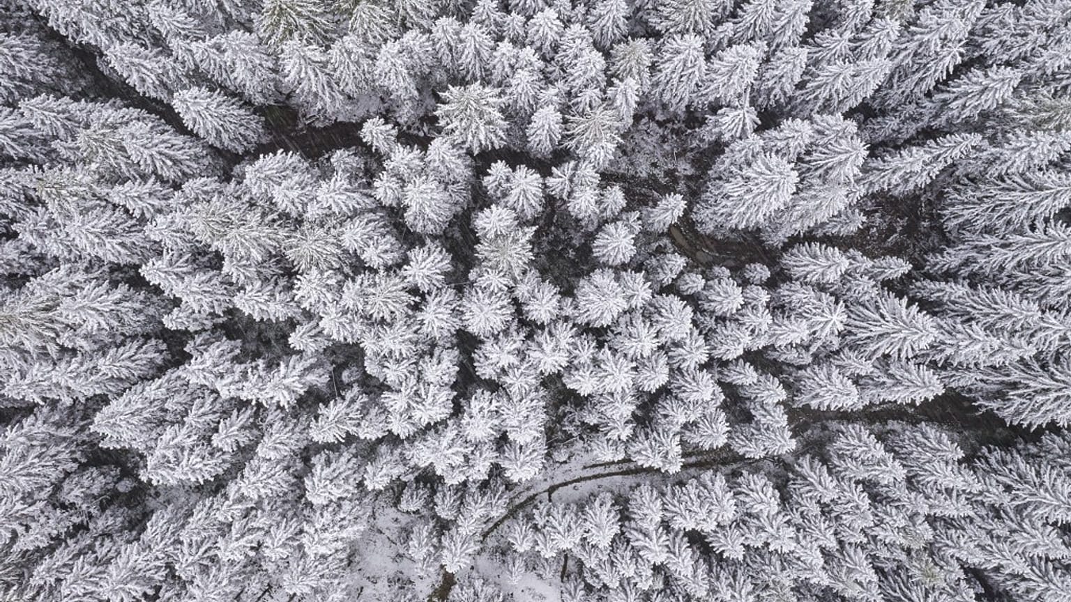 Schnee in Österreich
