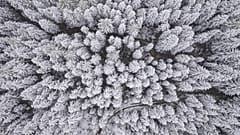 Schnee in Österreich