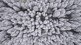 Schnee in Österreich