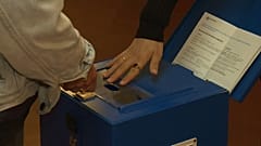 Für die EU, für Väter, für Wölfe: So haben die Schweizer abgestimmt