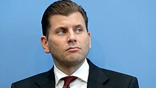 Christian Lueth has been fired by Alternative for Germany for comments he allegedly made