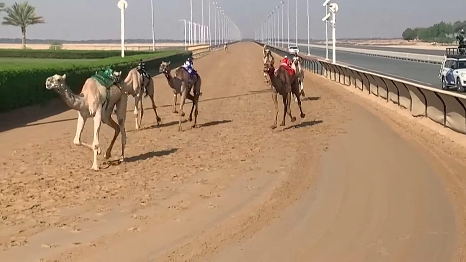  سباق الهجن في دبي