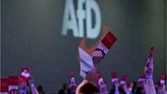 Afd meeting