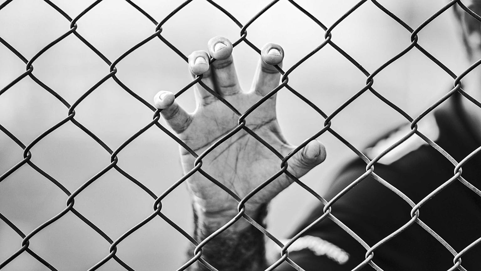 Hand am Drahtzaun