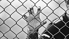 Hand am Drahtzaun