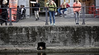 Ιταλία: Προετοιμασίες για νέα έξαρση της επιδημίας