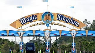 walt disney park