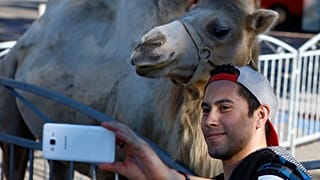 Egy látogató selfie-t készít egy tevével a párizsi Place de la Bastille 2016. szeptember 7-én