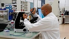 تحقیق پزشکی در فرانسه (عکس تزئینی است)
