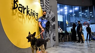 "Barking Lot" cafe in Saudi Arabia's eastern Gulf city of Khobar