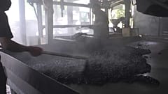 extracted from video 