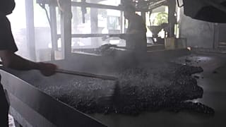 extracted from video