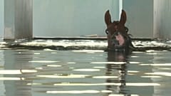 extracted from video 