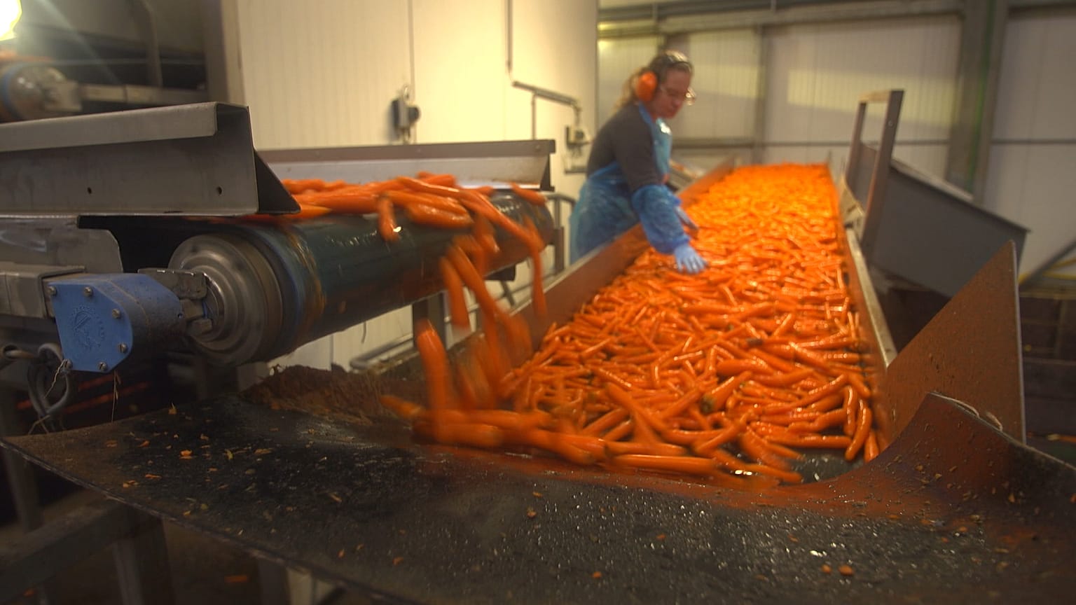 Tecnologias e métodos para combater desperdício alimentar na UE