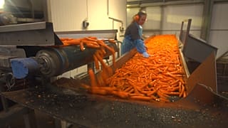Több feldolgozás, kevesebb élelmiszer-pazarlás