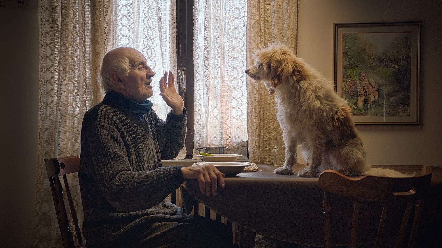 Still from The Truffle Hunters, by Michael Dweck and Gregory Kershaw