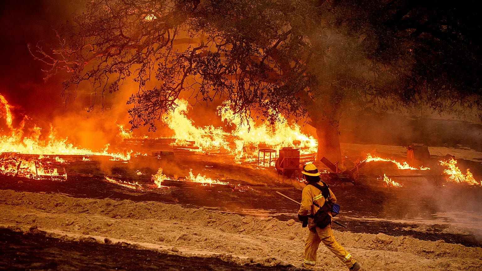 A firefighter passes flames while battling the Glass Fire in a Calistoga, Calif., vineyard Thursday, Oct. 1, 2020.