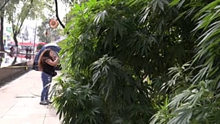 بالقرب من البرلمان المكسيكي 