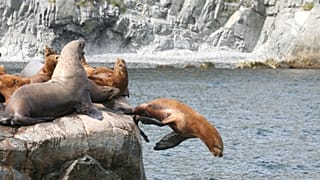 Камчатка
