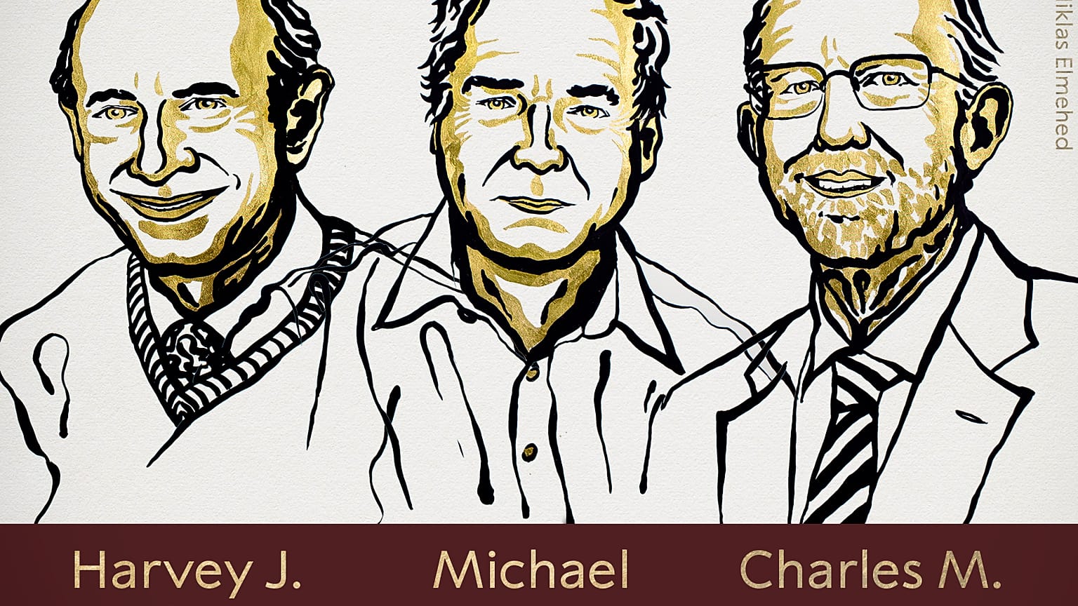 The prize was awarded to Harvey J Alter, Michael Houghton and Charles M Rice
