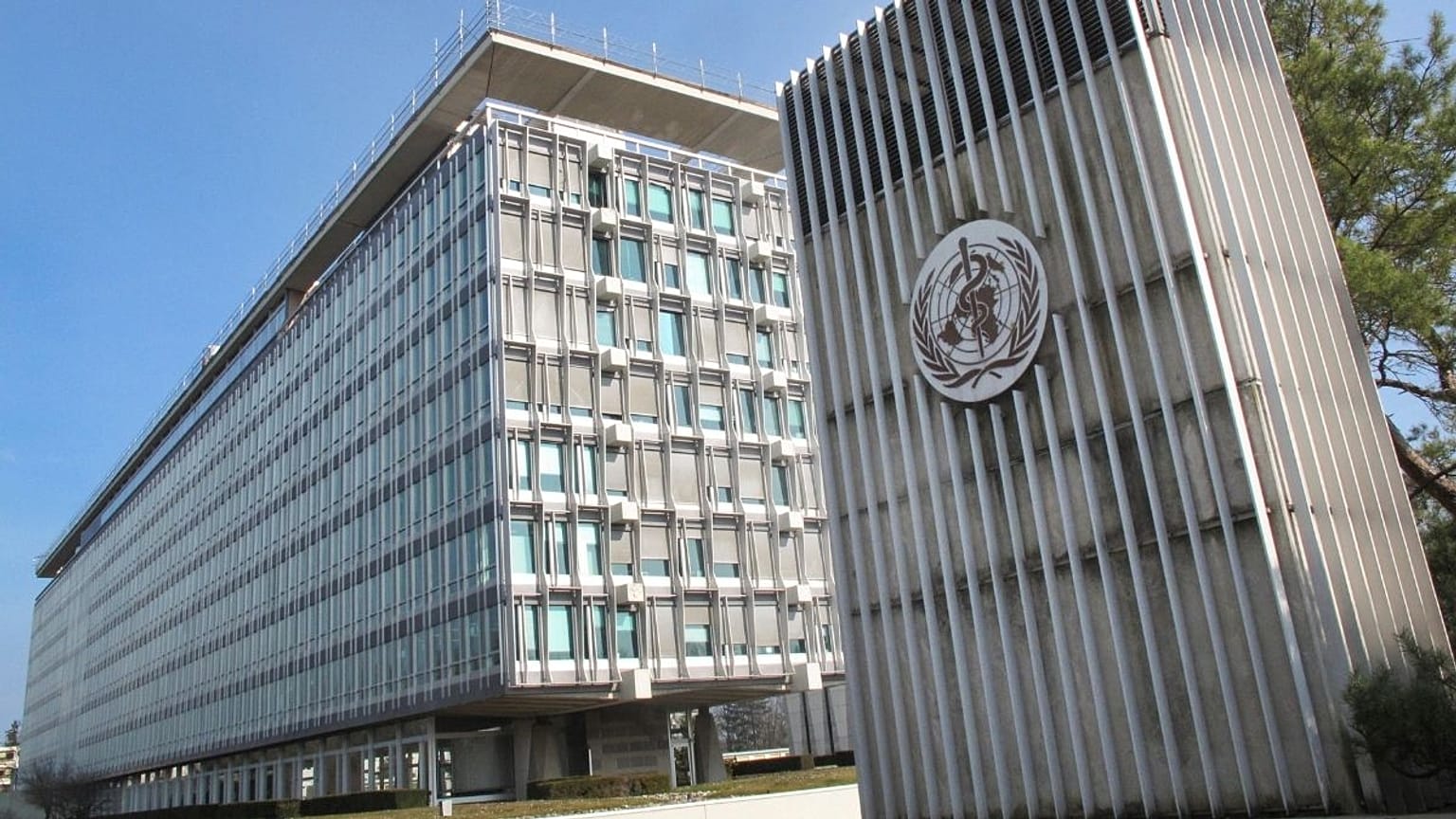 سازمان جهانی بهداشت